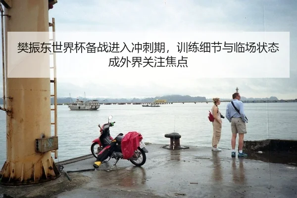樊振东世界杯备战进入冲刺期，训练细节与临场状态成外界关注焦点